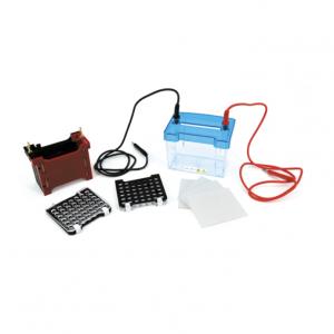 北京六一DYCZ-40D型迷你轉印電泳儀小號121-4040