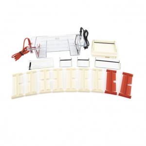 北京六一瓊脂糖水平電泳儀小號DYCP-31DN